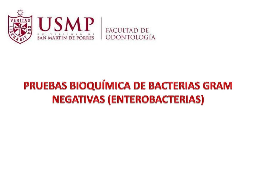 Bioquímica de Bacterias Gram Negativas Tiroxina Med uDocz