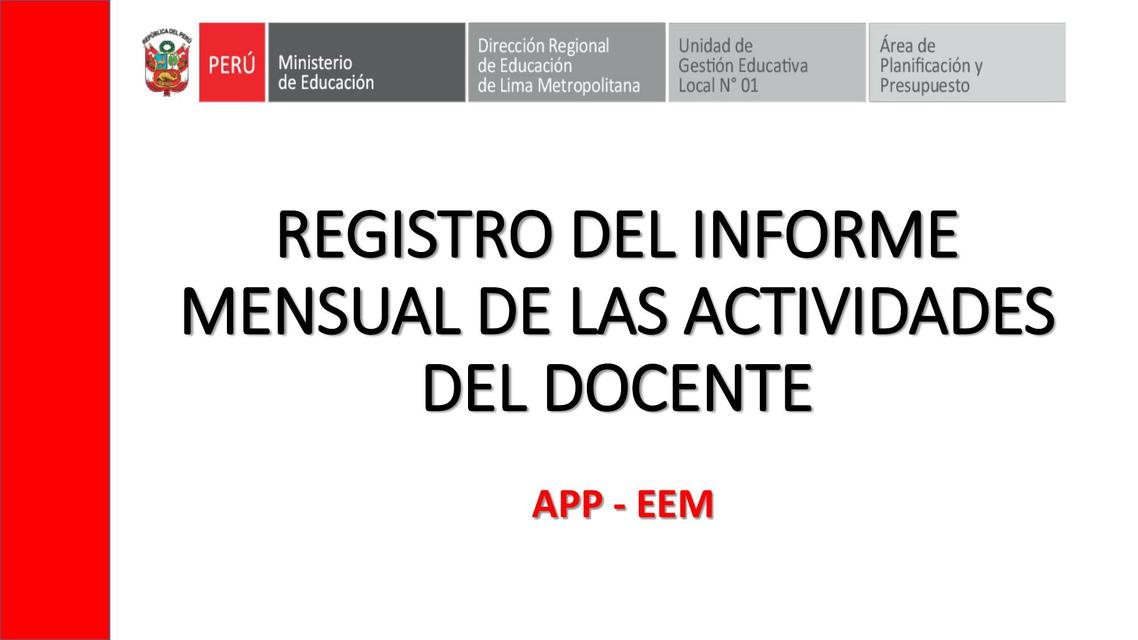 Registro De Informe Mensual Unidocs Udocz