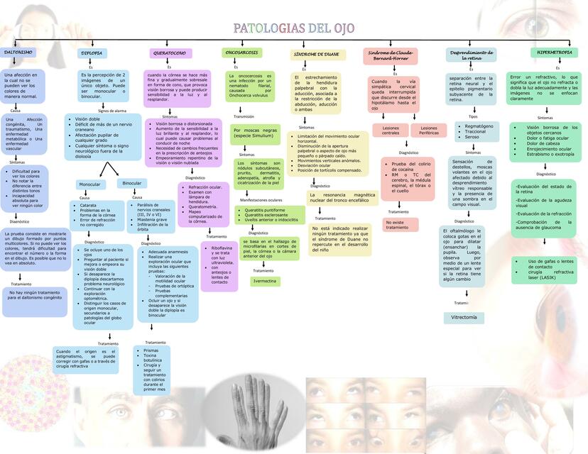 Patologías del Ojo DAUA uDocz