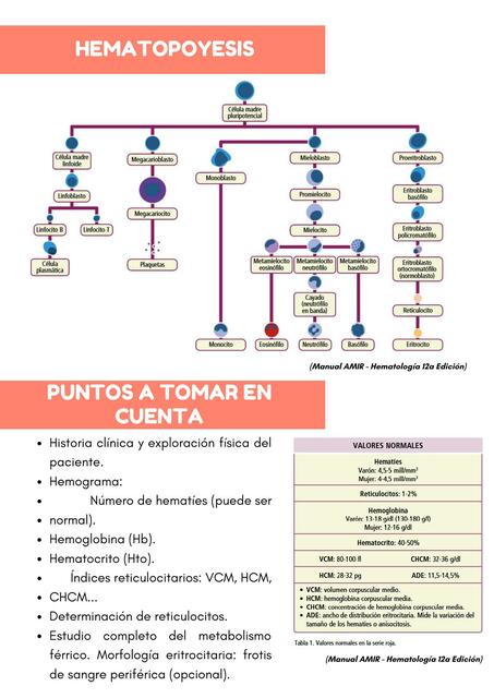 Hematopoyesis MARYURI LISBETH UDocz