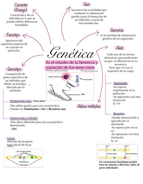 Genética y Herencia Sofía Carez uDocz