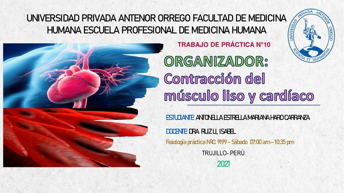 Organizador Contracci N Del M Sculo Liso Y Cardiaco Estrella Haro