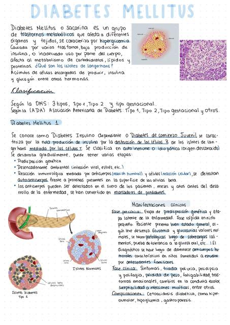 Diabetes Mellitus Josselyne Penafiel Medicina UDocz