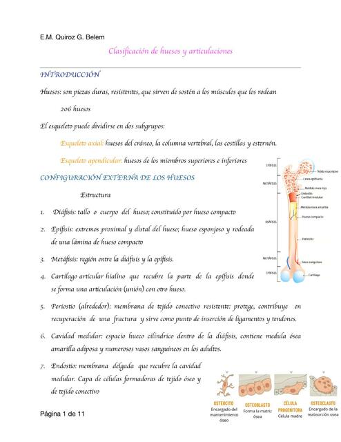 Clasificaci N De Huesos Y Articulaciones Guadalupe De Belem Quiroz