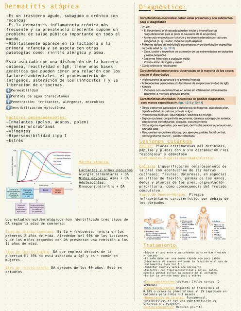 Dermatitis At Pica Medicoblasto Cm Udocz