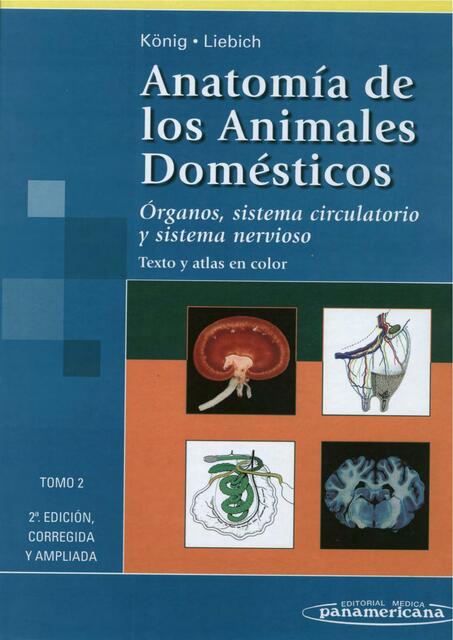 Anatomia Veterinaria Koning TOMO 2 Valentina Ledesma UDocz