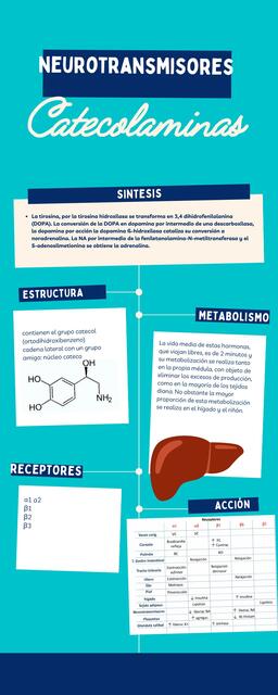 Neurotransmisores Citlalli H V UDocz