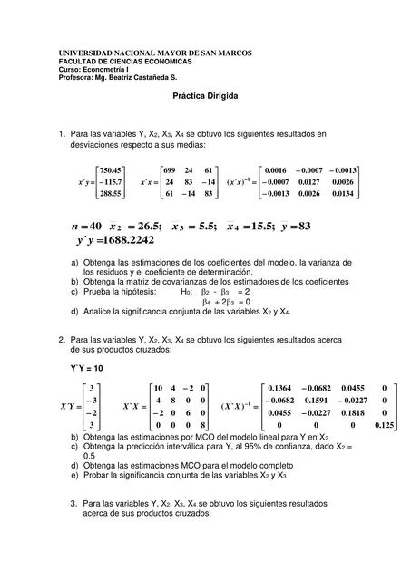 Práctica Dirigida Econometría Tommy Hilfiger uDocz