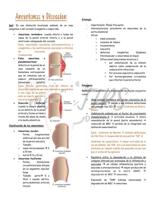 Aneurismas y Disección Damaris Quispe Paredes uDocz