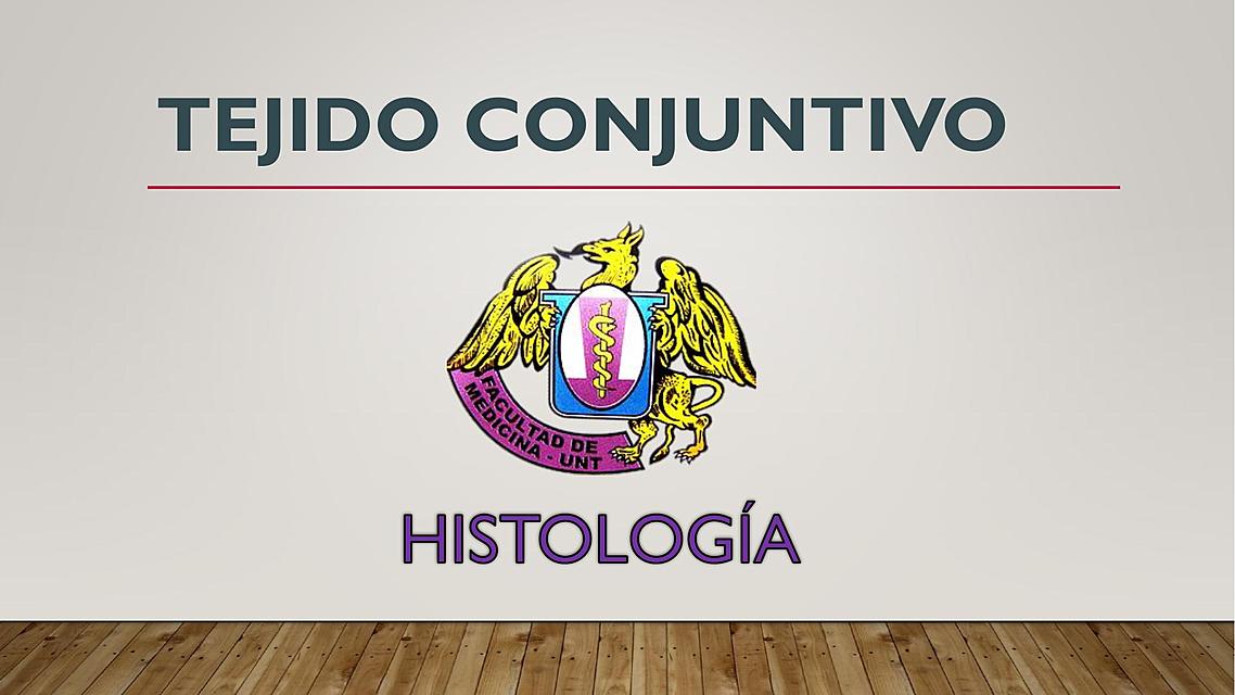 Tejido Conjuntivo Franco Isla Udocz