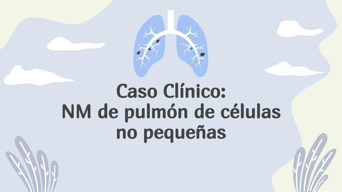 Cáncer de Pulmón no Microcítico Alejandro uDocz