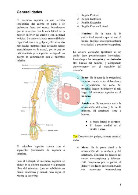 Miembro Superior Generalidades Y Osteolog A Experiencia M Dica Udocz