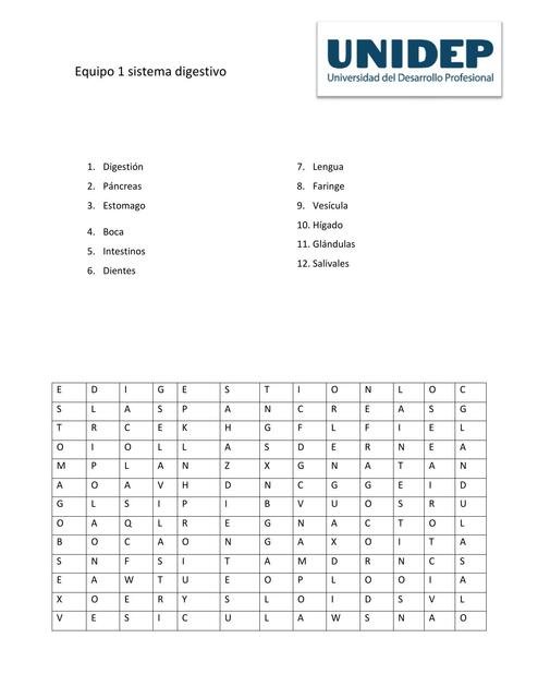 Sistema Digestivo Sopa De Letras Wordsearch The Best Porn Website