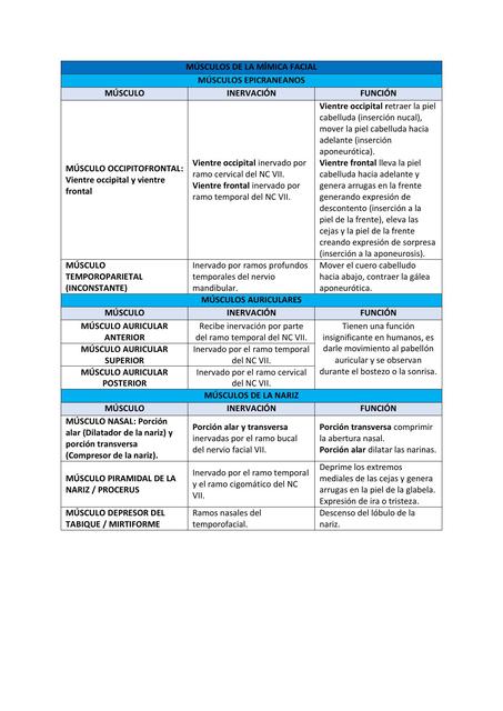 M Sculos De M Mica Facial Cuello Y Dorso Angie Lizeth Fern Ndez