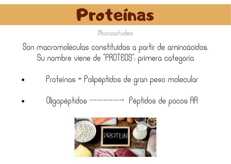 Proteínas boraastudies uDocz