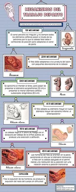Mecanismos Del Trabajo De Parto Lisseth Udocz