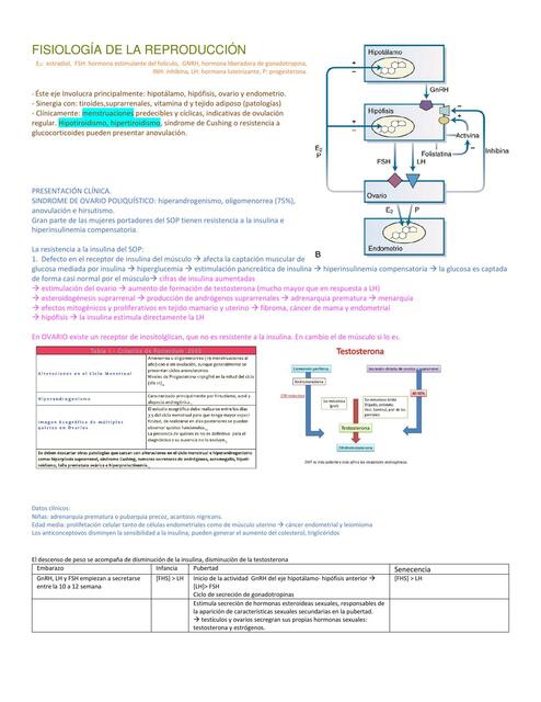 Fisiolog A De La Reproducci N Paola Escobedo Udocz