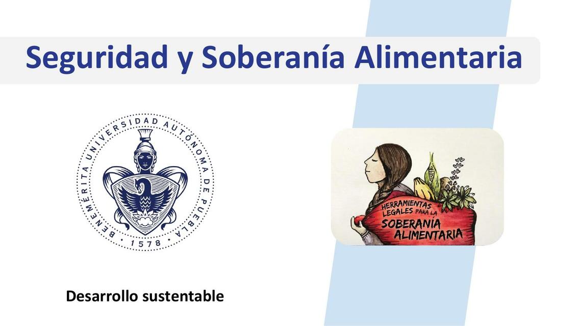 Seguridad Y Soberan A Alimentaria Javier Ignacio Arg Ello Gutierrez