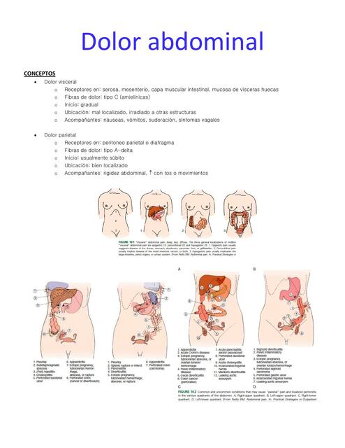 Dolor Abdominal En Pediatr A Medicina La M A Udocz