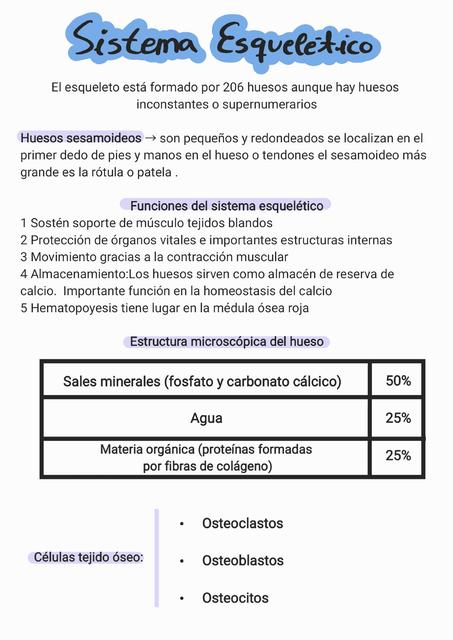 Sistema Esquel Tico Noelia M Ndez Alonso Udocz