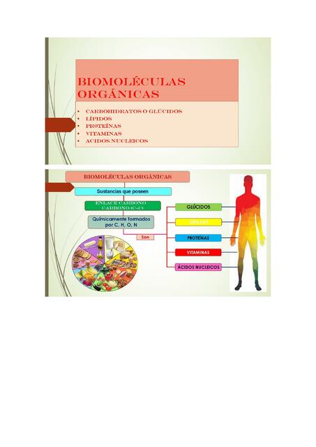 Carbohidratos Rut Ester UDocz