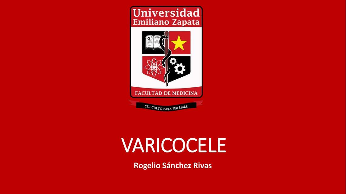 Varicocele Rogelio S Nchez Udocz