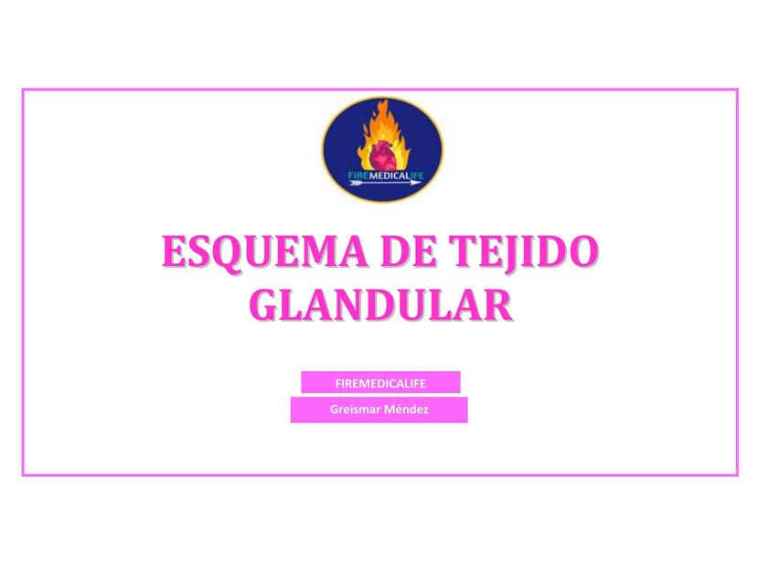 ESQUEMA DE TEJIDO GLÁDULAR CUADRO drs inmunoglobulinas uDocz