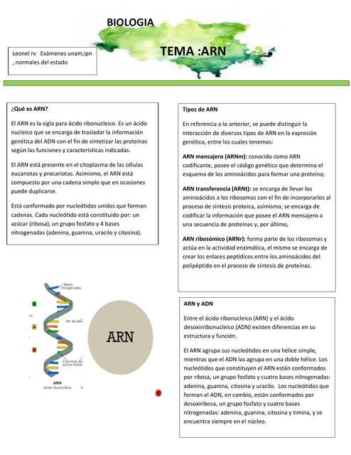 Biologia Unam Guia ARN LEonel Rico UDocz