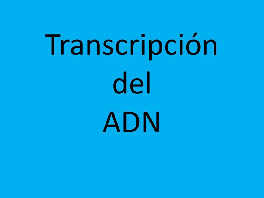 Transcripción y traducción del ADN Juana Ortega uDocz