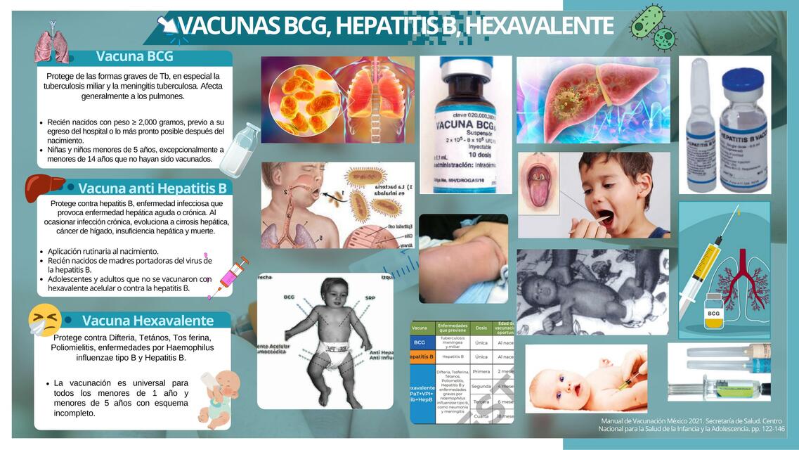 Vacunas BCG Hepatitis B Hexavalente Sofia Jiménez uDocz