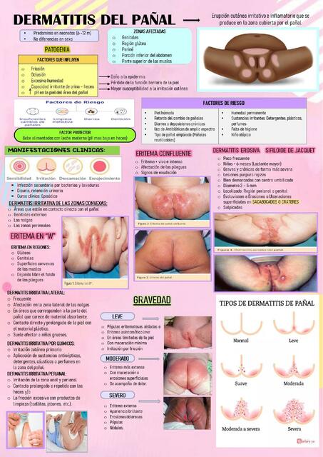 Dermatitis Del Pa Al Pamela Jaqueline Z Rate Galarza Udocz