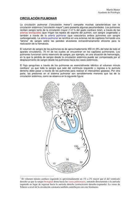 Hematosis Y Circulacion Pulmonar Yomara UDocz