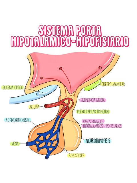 Sistema Porta Enfermero Isaias Rivas Enfermeroisaiasrivas UDocz