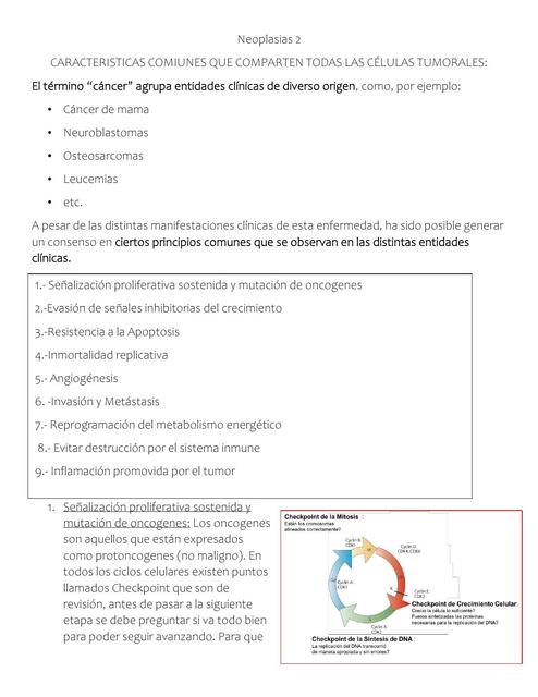 Neoplasias 2 Cecilia Sepúlveda uDocz