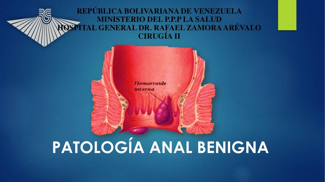 Patolog A Anal Benigna Escuela Medica Udocz