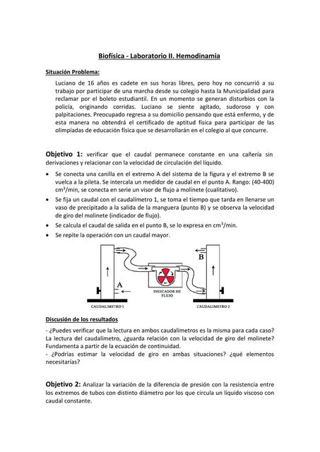 Laboratorio 2 Hemodinamia Jazmin Diaz UDocz