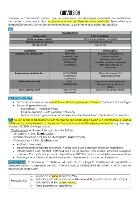 Preguntas de final Convulsión Karine Bacellar uDocz