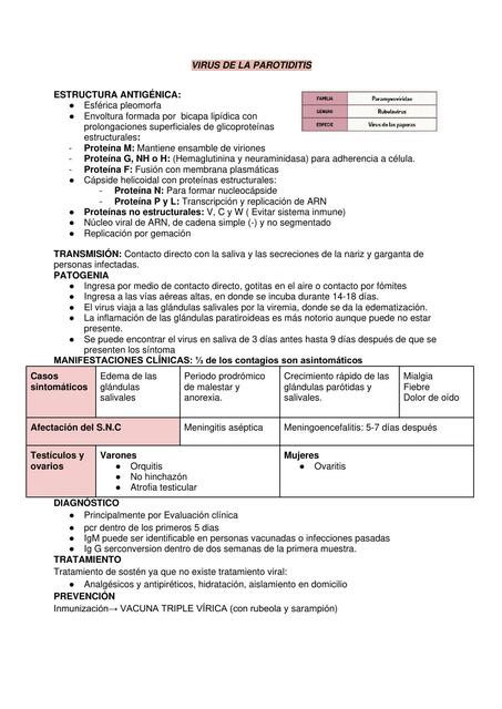 Resumen Virus De Parotiditis Ana Fernanda Zhindon Macas UDocz