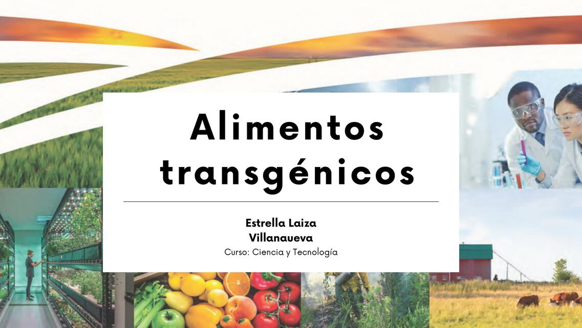 Alimentos Transgenicos Wiwiwiwi Udocz