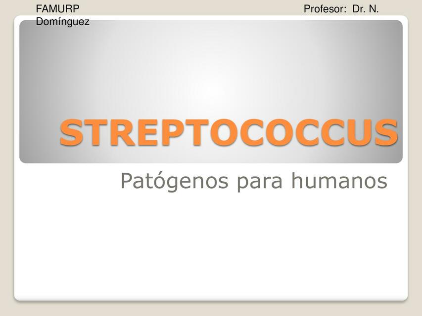 Streptococcus Metotrexato Post Udocz