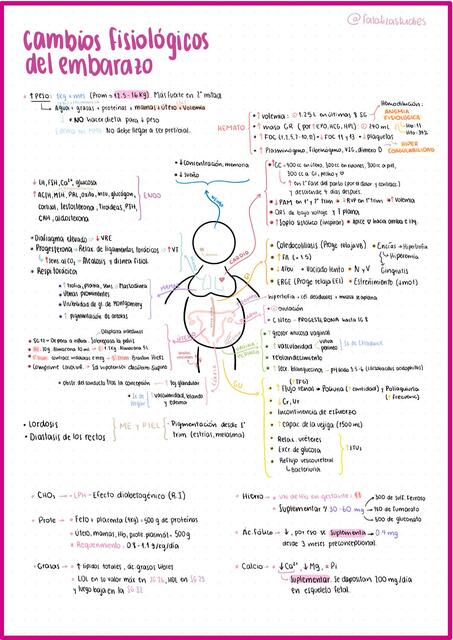 Cambios fisiológicos en el embarazo Fataliza uDocz