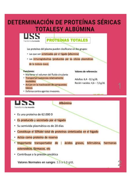 Determinación de Proteínas Séricas Totales y Albúmina Mayte González