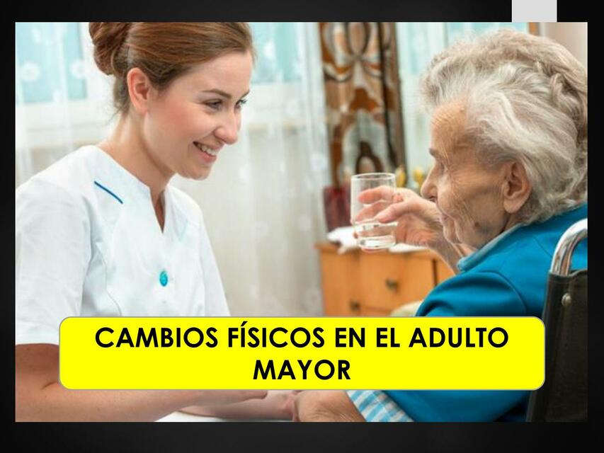 Cambios F Sicos En El Adulto Mayor Nursing Apuntes Udocz