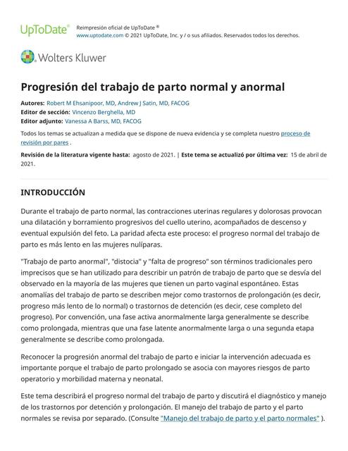 Progresión del Trabajo de Parto Normal y Anormal Snaider Ynfante