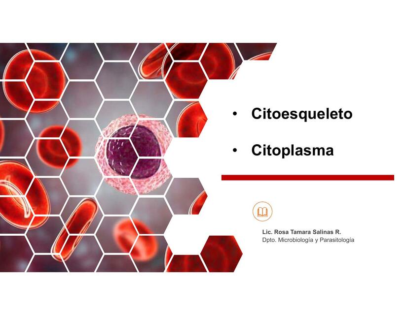 Biologia Celular Citoesqueleto GENESIS BRICEnO UDocz