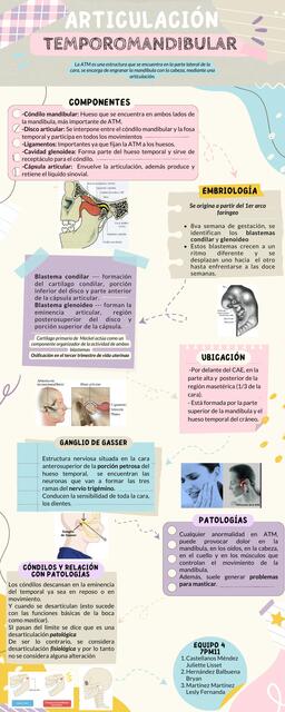 Articulación Temporomandibular Lesly Martínez uDocz