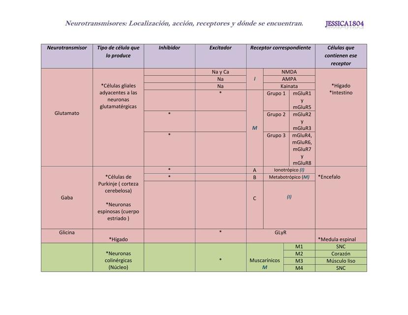 Res Menes De Neurotransmisores Descarga Apuntes De Neurotransmisores