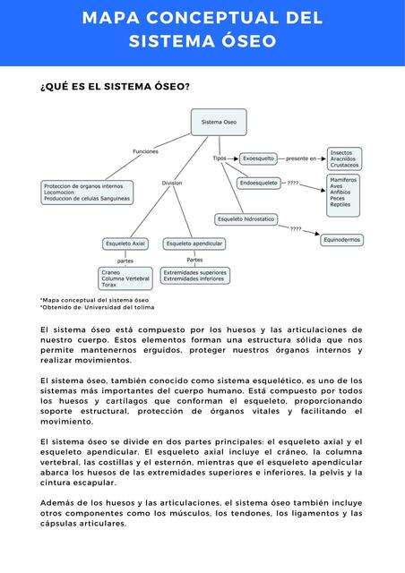 Mapa Conceptual Del Sistema Seo Facilitando Tu Estudio Udocz