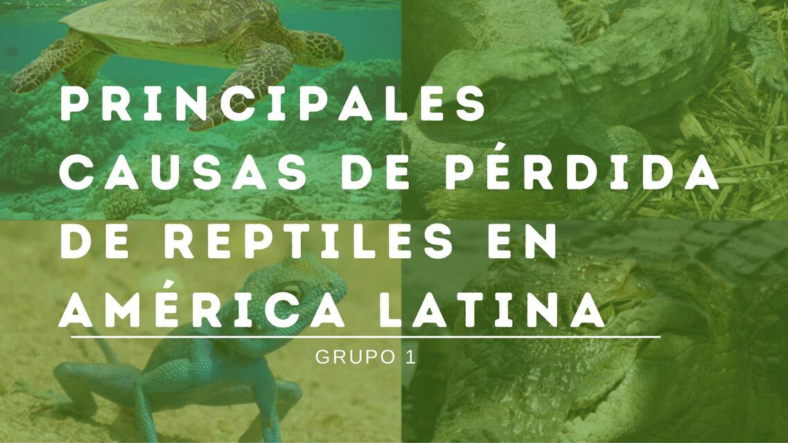 Principales Causas De P Rdida De Reptiles En Am Rica Latina Udocz