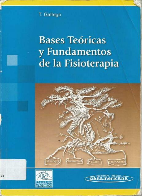 Bases Te Ricas Y Fundamentos De La Fisioterapia Rosmary Quintero Udocz